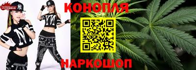 гашик Краснознаменск
