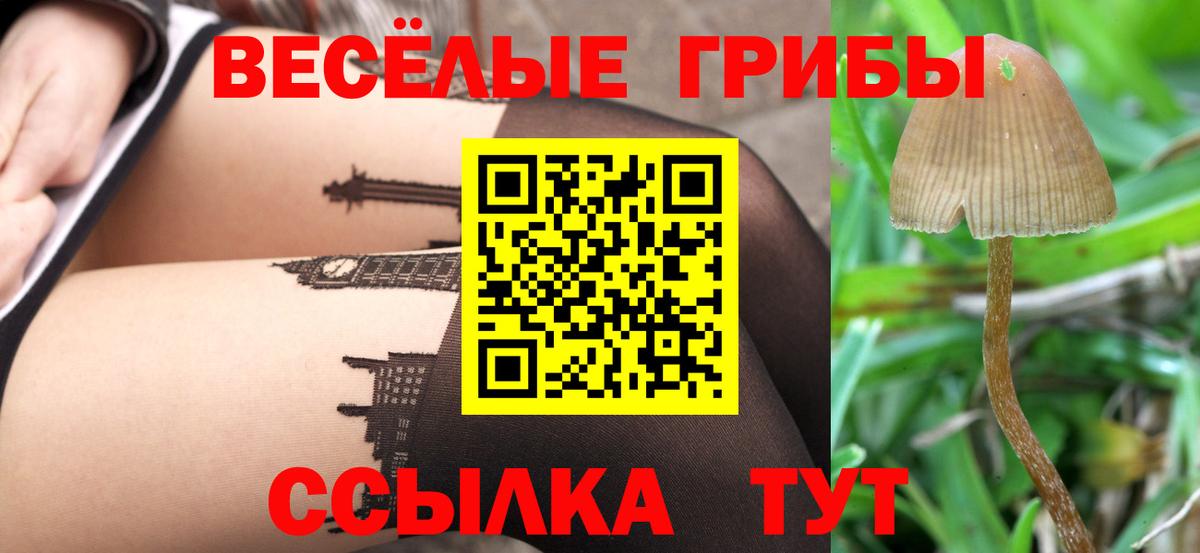 Галлюциногенные грибы Cubensis  Вход с VPN  Галлюциногенные грибы GOLDEN TEACHER  Зима 